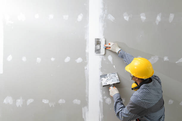 Mold Remediation for Vacation Homes in Dunnavant, AL