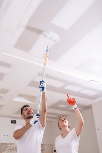 Professional Mold Removal in Dunnavant, AL