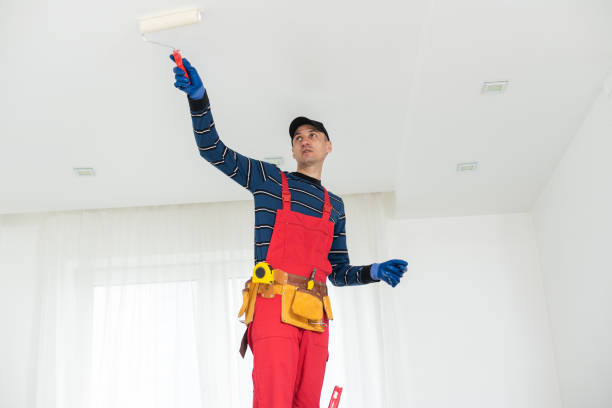 Best Water Damage & Mold Remediation  in Dunnavant, AL
