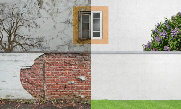 Best Attic Mold Removal  in Dunnavant, AL